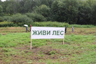 Экологическая акция «Сохраним лес» запущена на Камчатке 13
