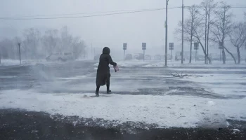 На мягких лапах: новый циклон крадется к Камчатскому краю На мягких лапах: новый циклон крадется к Камчатскому краю