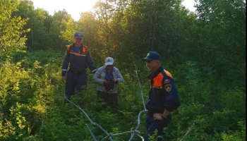 Семейная пара потерялась в лесу и была спасена на Камчатке Семейная пара потерялась в лесу и была спасена на Камчатке