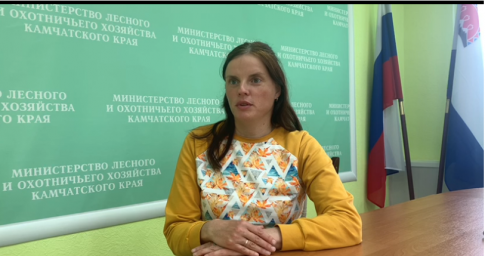 Проголосовать в конкурсе «Российское дерево года» приглашают жителей Камчатки 2