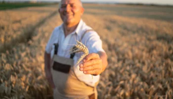 Мошенничество с использованием служебного положения пресекли в Елизове на Камчатке Мошенничество с использованием служебного положения пресекли в Елизове на Камчатке