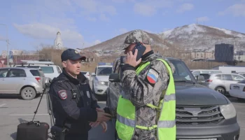 Действия экстренных служб при появлении медведя в населённых пунктах отработали на Камчатке