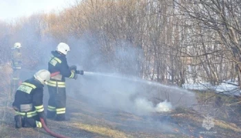 Первые очаги возгорания сухой травы ликвидировали камчатские спасатели и очевидцы