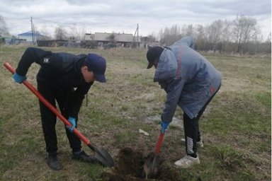 Камчатцев приглашают принять участие в акции «Сад Памяти» 0