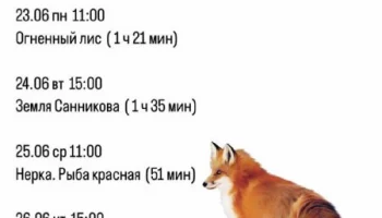 На ежедневные кинопоказы приглашают в Кроноцкий музей на Камчатке