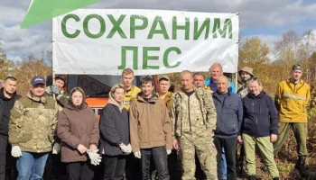 В 2025 году 3 247 человек приняли участие в посадках деревьев на Камчатке