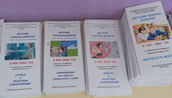 За первый квартал 2026 года более тысячи обращений поступило на &laquo;Детский телефон доверия&raquo; на Камчатке