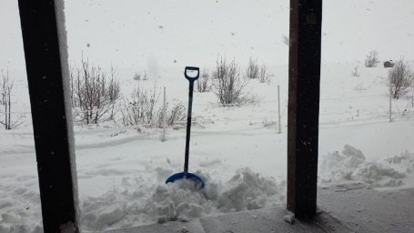 Снежным творчеством поделились государственные инспекторы Кроноцкого заповедника на Камчатке 4