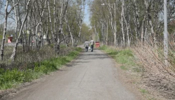 Облик парка на улице Магистральной определяют жители Елизово на Камчатке Облик парка на улице Магистральной определяют жители Елизово на Камчатке