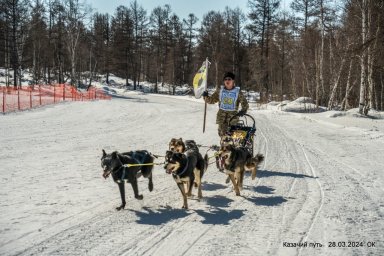 В Эссо в 10 раз состоялась гонка на собачьих упряжках «Казачий путь» 12