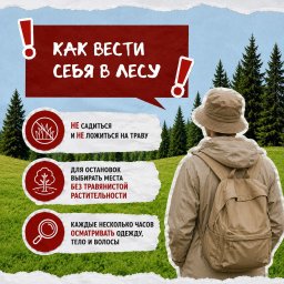 Клещи начинают проявлять активность в Камчатском крае 3