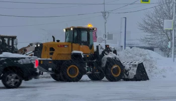 Рыбопромышленные предприятия помогут расчищать Петропавловск-Камчатский