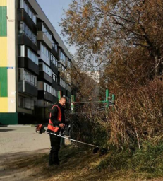 Благоустройство и приведение в порядок городских территорий продолжается в Петропавловске-Камчатском 7