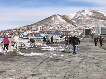 Первый весенний субботник прошёл в Петропавловске-Камчатском 1