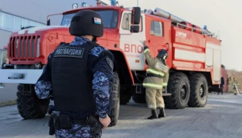 Совместные учения МЧС России и Росгвардии состоялись в Камчатском крае Совместные учения МЧС России и Росгвардии состоялись в Камчатском крае