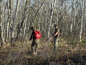 Сотрудники Кроноцкого заповедника помогли ликвидировать пожар в Елизово на Камчатке 2