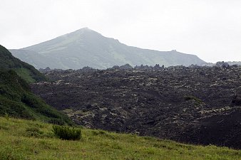 Подсчитали — прослезились: черношапочных сурков стало меньше на Камчатке 3