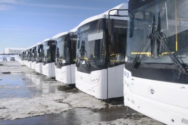 В столице Камчатки обновляют общественный транспорт 1