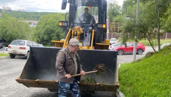 Во всех районах города: в столице Камчатки следят за чистотой