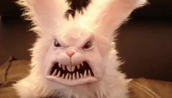 Не такая уж и злая эта зая: почему укусила полицейского жительница Петропавловска-Камчатского