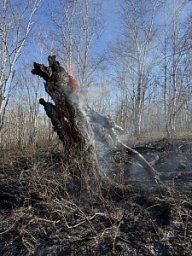 Сотрудники Кроноцкого заповедника помогли ликвидировать пожар в Елизово на Камчатке 5