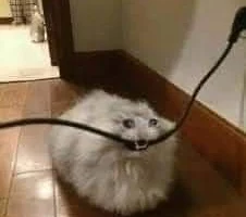 Рухнувшая опора ЛЭП оставила без света часть домов на Камчатке