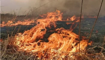 Возгорание сухой травы произошло вблизи горнолыжной базы «Кирпичики» на Камчатке Возгорание сухой травы произошло вблизи горнолыжной базы «Кирпичики» на Камчатке