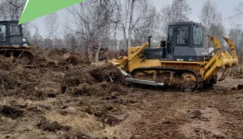 Лесовосстановление на площади 42 гектара осуществили в Мильковском лесничестве на Камчатке