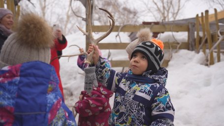 Воспитанники Дома ребёнка посетили питомник ездовых собак на Камчатке 2