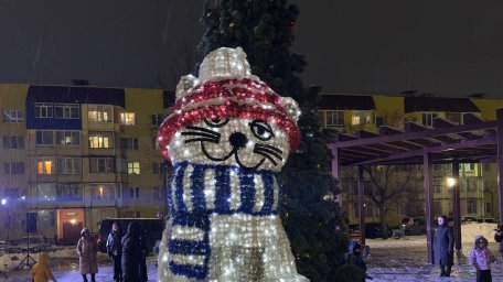 Новогодняя елка открылась в четвертом микрорайоне столицы Камчатки 5