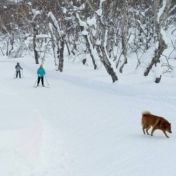 Зимний фотоконкурс запустили в Вилючинске на Камчатке 0