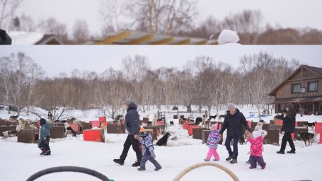 Воспитанники Дома ребёнка посетили питомник ездовых собак на Камчатке 1