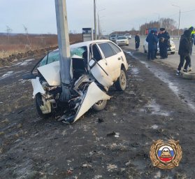 Хозяин погиб, его собака выжила в ДТП на Камчатке 1