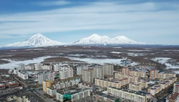 Порядок действий при выходе медведей в город рассмотрели в Петропавловске-Камчатском