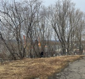 Очередной майский субботник прошел в Петропавловске-Камчатском 6