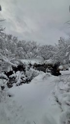 Снежным творчеством поделились государственные инспекторы Кроноцкого заповедника на Камчатке 3