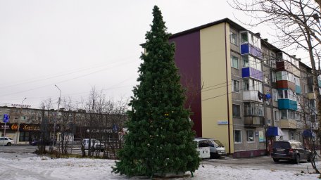 Новогодние елки устанавливают в микрорайонах краевой столицы 1