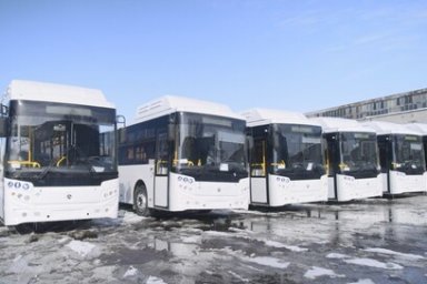 В столице Камчатки обновляют общественный транспорт 3