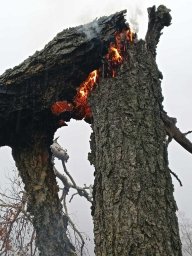 Готовность к пожароопасному сезону подтвердило Федеральное агентство лесного хозяйства Камчатского края 0