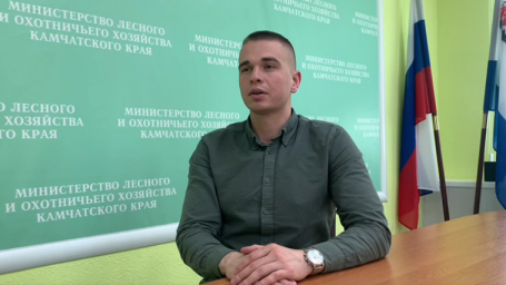 Лесные пожары ликвидированы на Камчатке 4