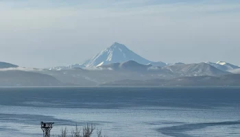 Задать губернатору вопросы на прямую линию смогут жители Камчатки Задать губернатору вопросы на прямую линию смогут жители Камчатки