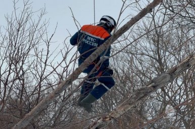 На Камчатке новички спасатели впервые десантировались без использования парашютов 6