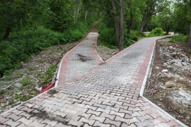 На Камчатке в парке Лазо в г. Елизово появится новая экологическая тропа 0