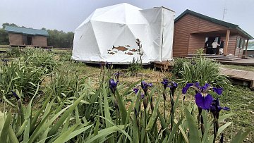 Завершена образовательная программа для семей на Курильском озере в Камчатском крае 5