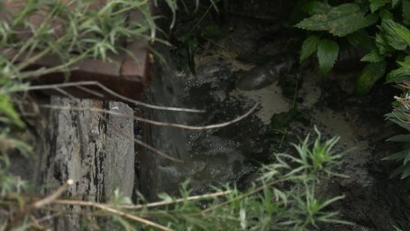 На Камчатке жители поселка Нагорный жалуются на слив сточных вод в ручей 0