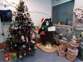 К участию в социальной акции «Заповедный друг» приглашает Кроноцкий заповедник на Камчатке 3