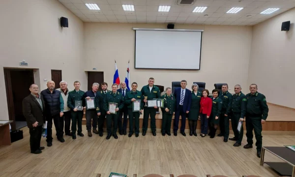 Итоги лесного и охотничьего надзора за прошлый год подвели в Камчатском крае