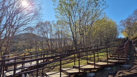 Итоги по благоустройству в 2025 году подвели в администрации Петропавловска-Камчатского 8