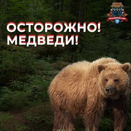 В течение дня подрядные организации вели комплексную уборку Петропавловска-Камчатского 4