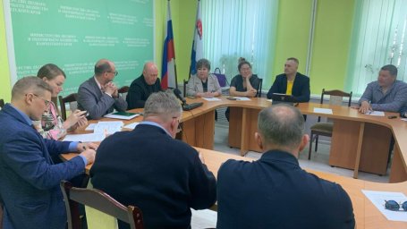 Медведей посчитали по весне на Камчатке 0
